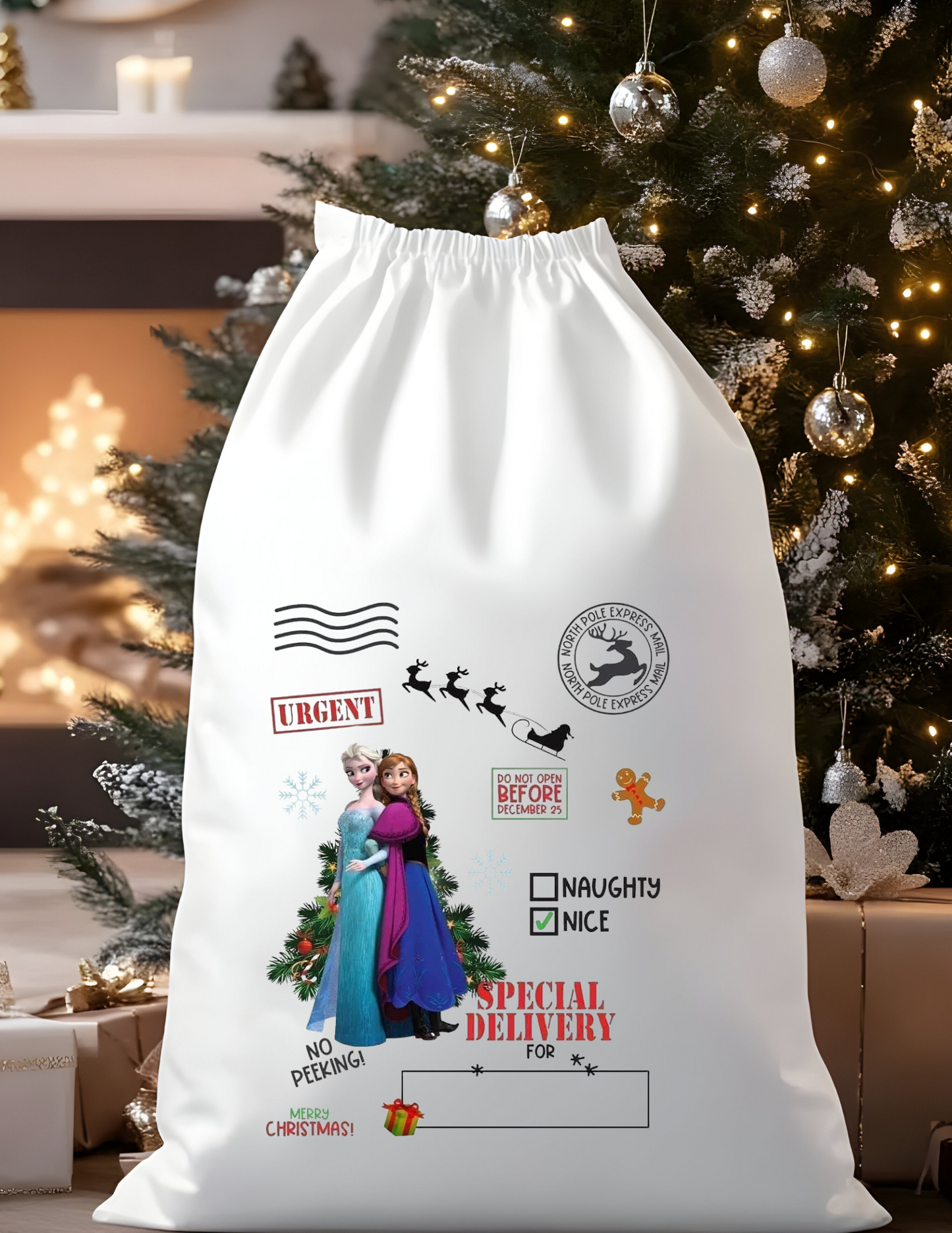 Custom Character Santa Bags