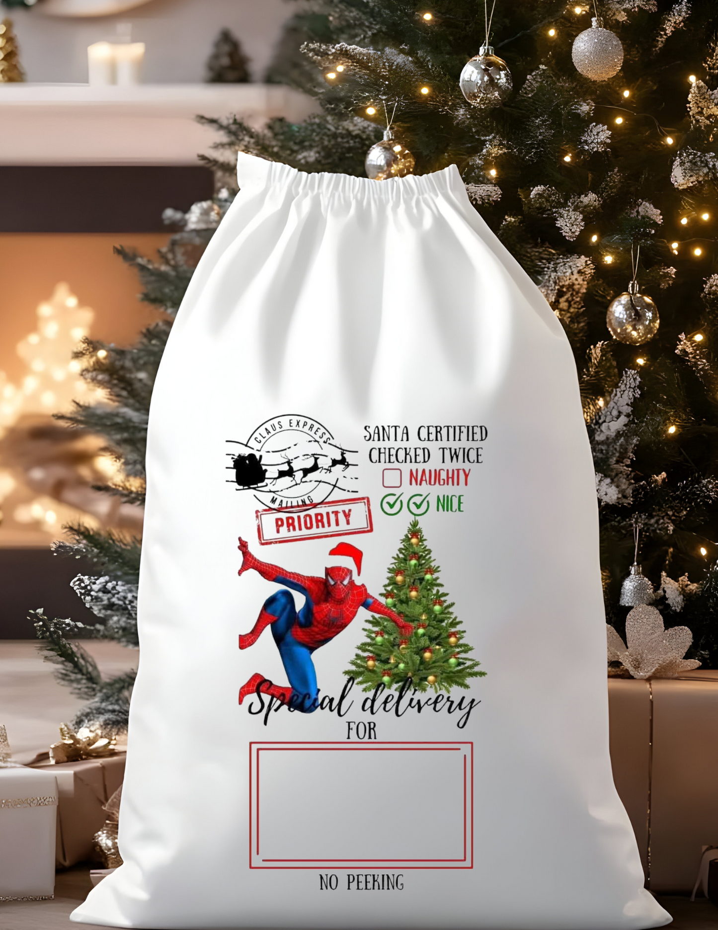 Custom Character Santa Bags