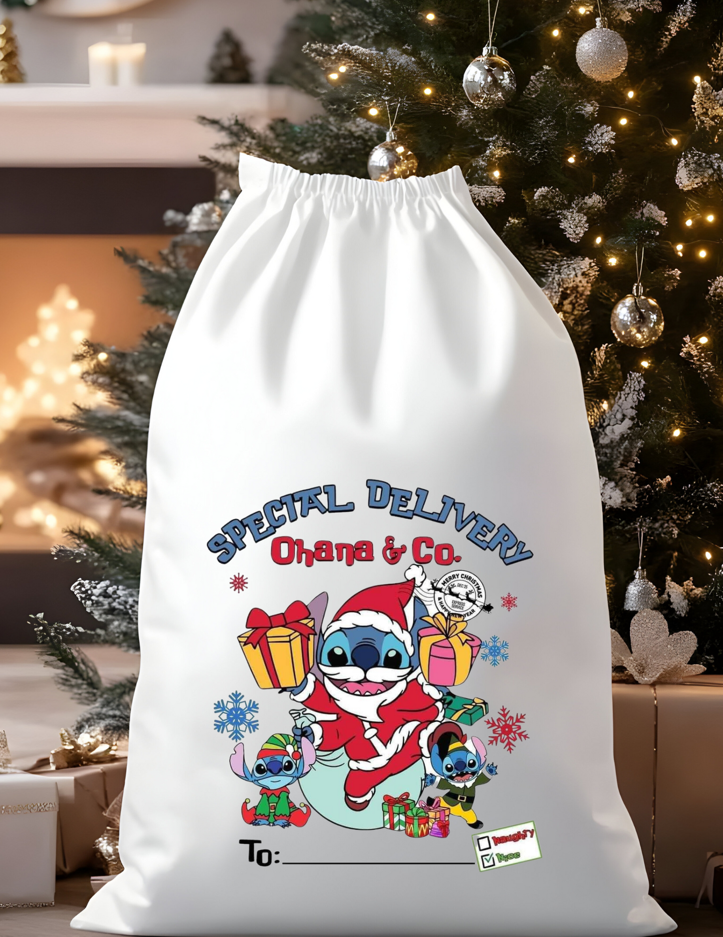 Custom Character Santa Bags